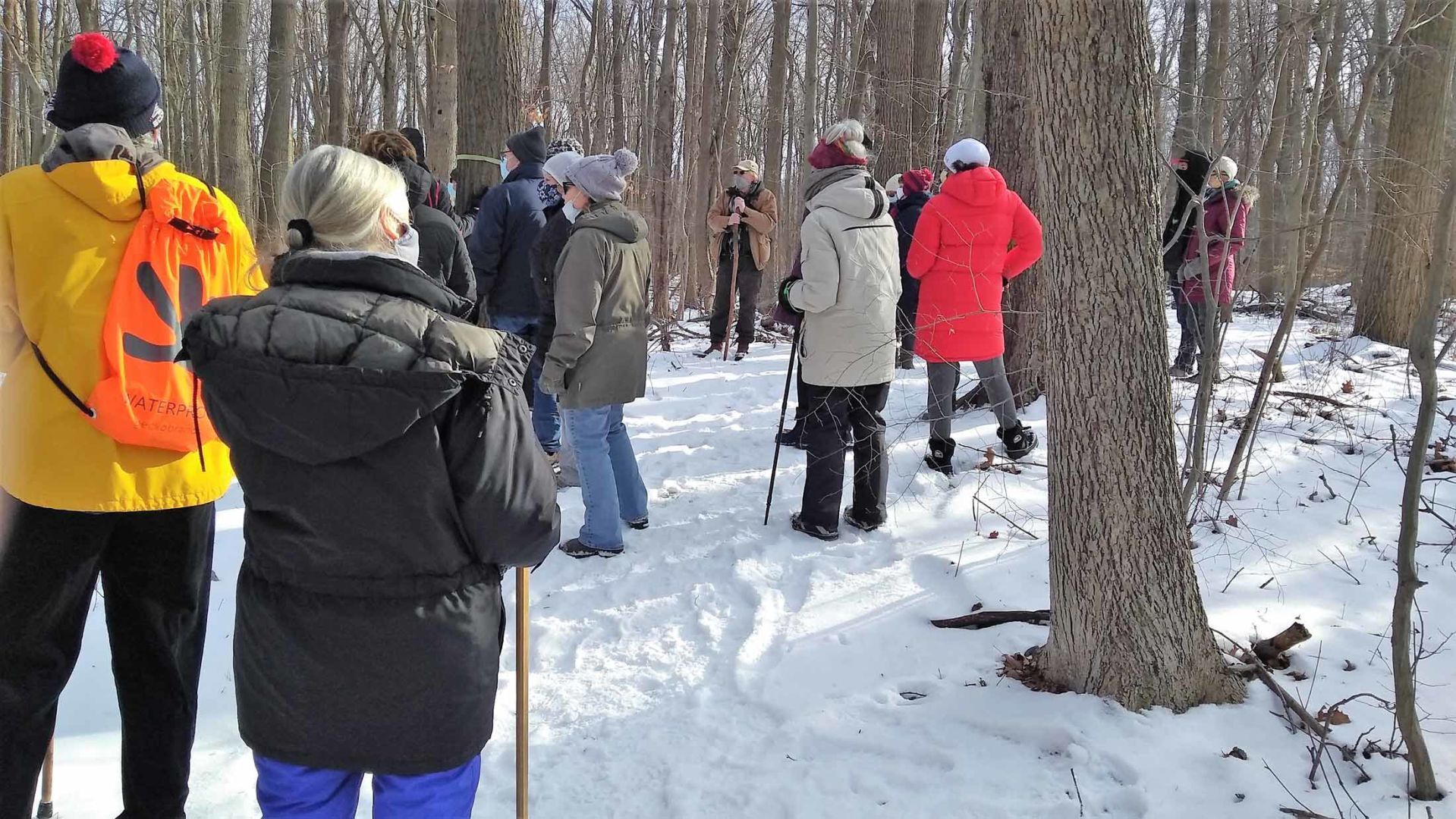Harbor Country Hikers to go looking for crows